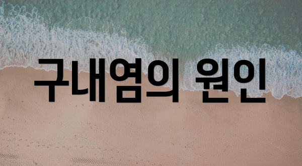 구내염의 원인