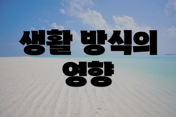 생활 방식의 영향