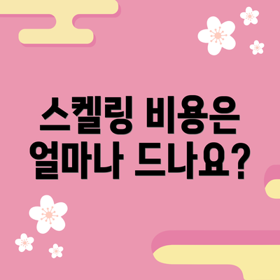 스켈링 비용은 얼마나 드나요?