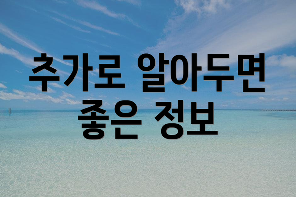 추가로 알아두면 좋은 정보