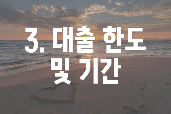 3. 대출 한도 및 기간