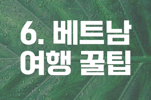6. 베트남 여행 꿀팁