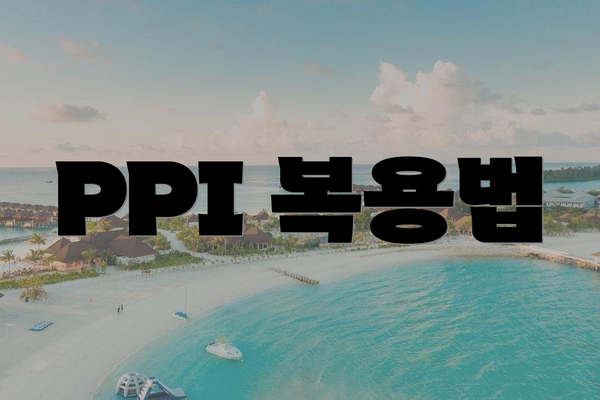 PPI 복용법