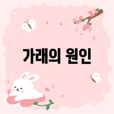 가래의 원인