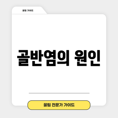 골반염의 원인