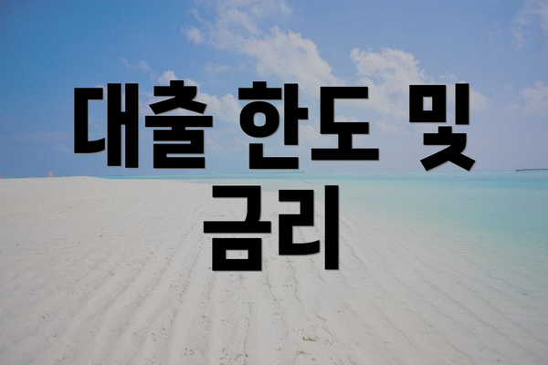 대출 한도 및 금리