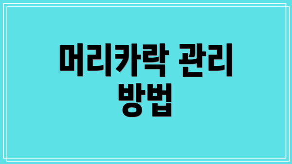 머리카락 관리 방법