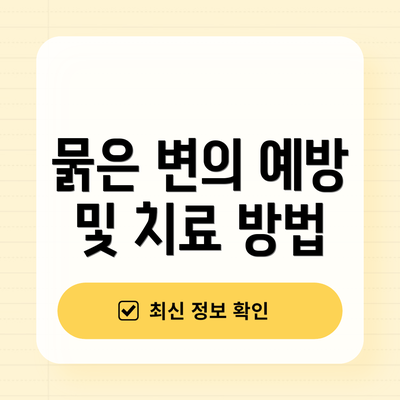 묽은 변의 예방 및 치료 방법