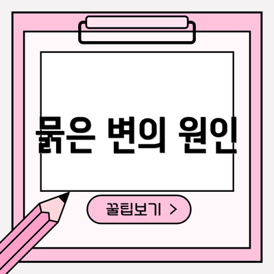 묽은 변의 원인
