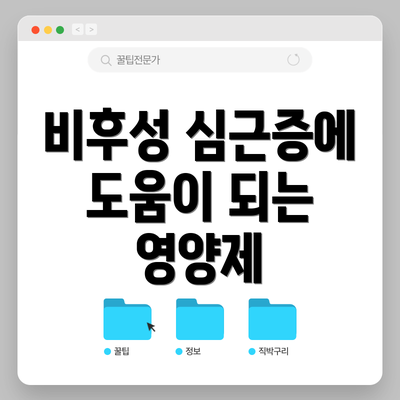 비후성 심근증에 도움이 되는 영양제