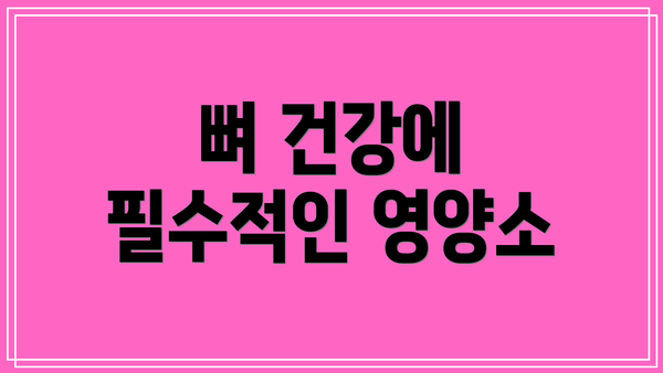 뼈 건강에 필수적인 영양소