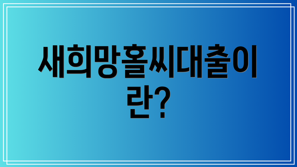 새희망홀씨대출이란?