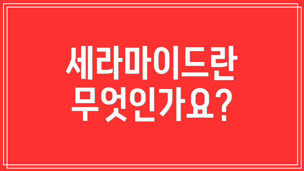 세라마이드란 무엇인가요?