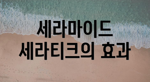 세라마이드 세라티크의 효과