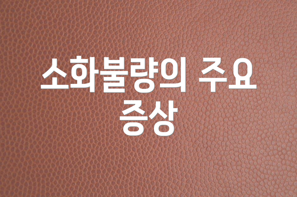 소화불량의 주요 증상