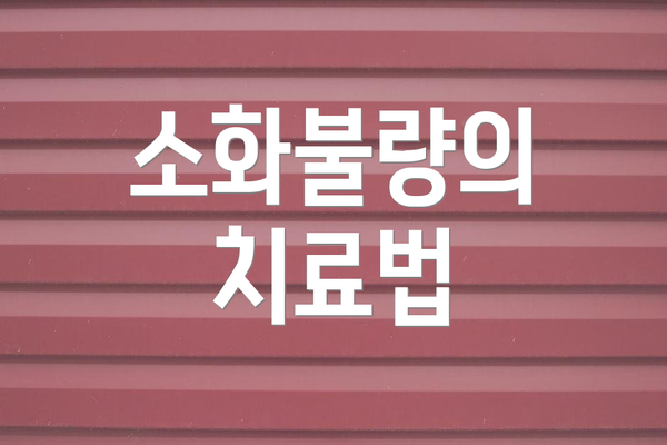 소화불량의 치료법