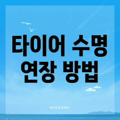 타이어 수명 연장 방법