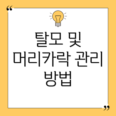 탈모 및 머리카락 관리 방법