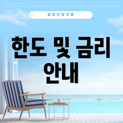 한도 및 금리 안내