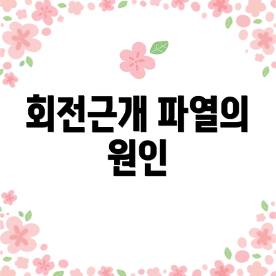 회전근개 파열의 원인