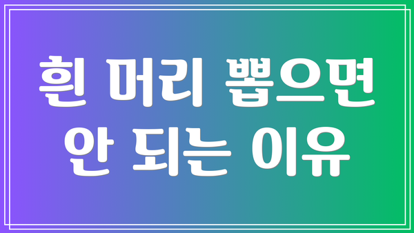 흰 머리 뽑으면 안 되는 이유