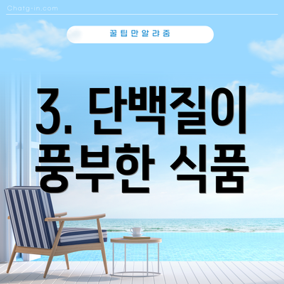 3. 단백질이 풍부한 식품