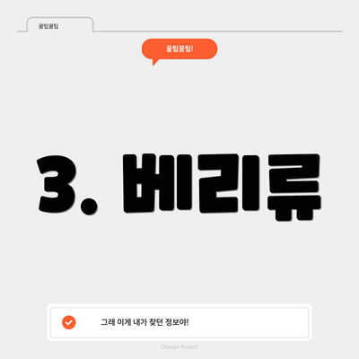 3. 베리류