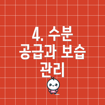 4. 수분 공급과 보습 관리
