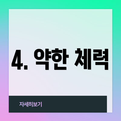 4. 약한 체력