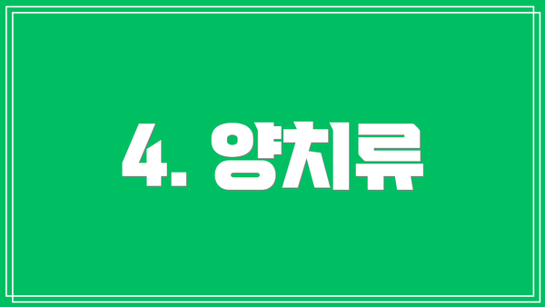 4. 양치류