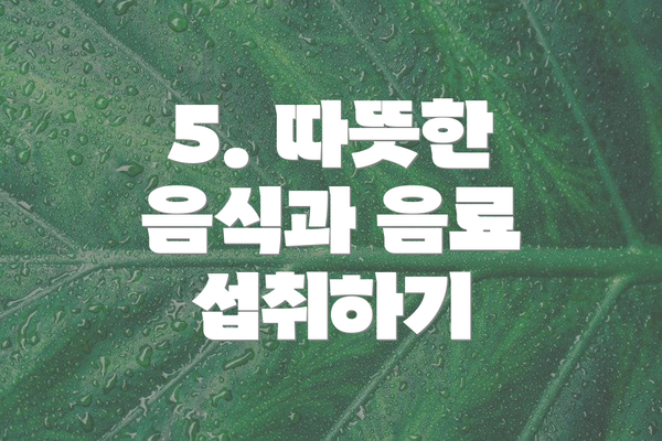5. 따뜻한 음식과 음료 섭취하기