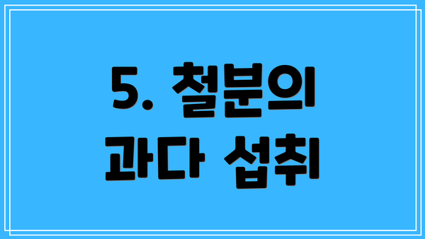 5. 철분의 과다 섭취