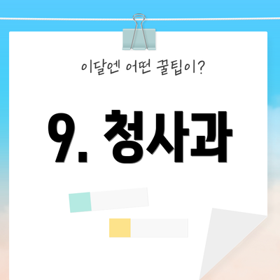 9. 청사과
