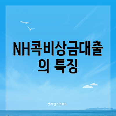 NH콕비상금대출의 특징