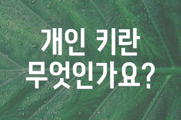 개인 키란 무엇인가요?