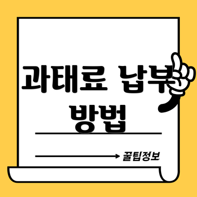 과태료 납부 방법