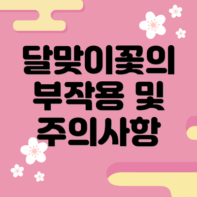 달맞이꽃의 부작용 및 주의사항