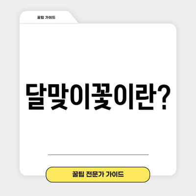 달맞이꽃이란?