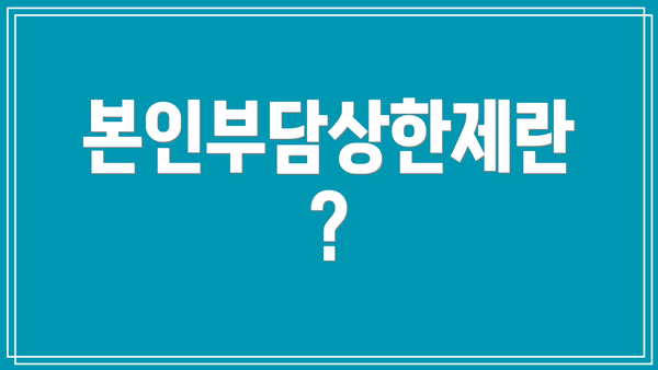 본인부담상한제란?