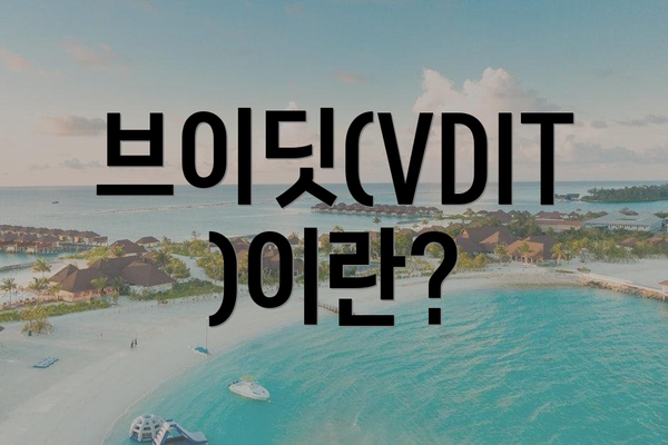 브이딧(VDIT)이란?