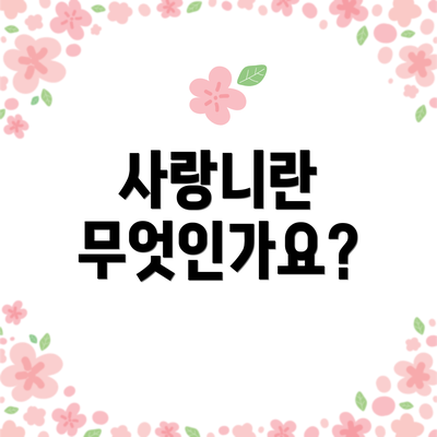 사랑니란 무엇인가요?