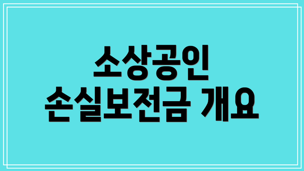 소상공인 손실보전금 개요