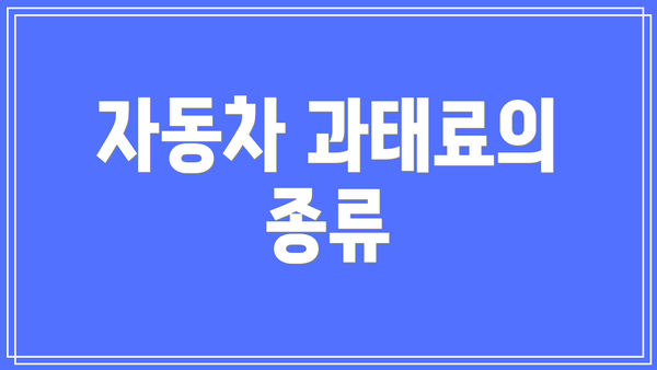 자동차 과태료의 종류