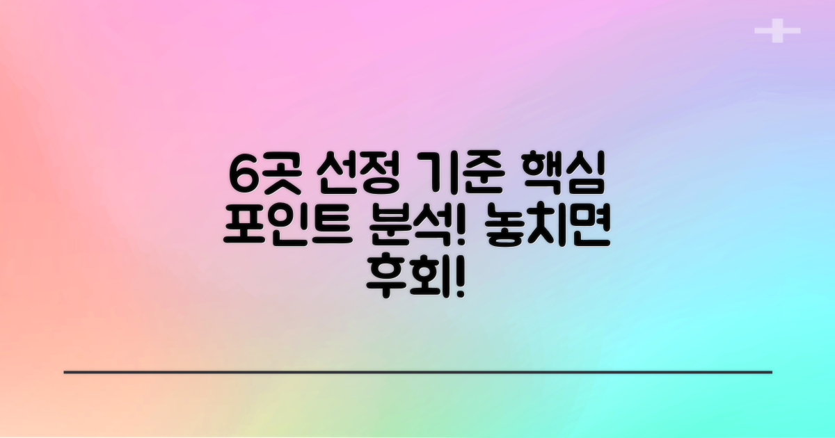 6곳 선정 기준 집중 분석