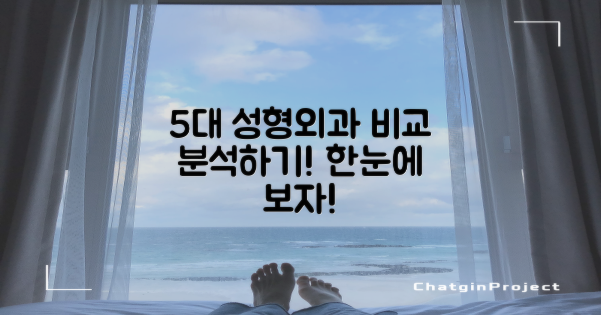 5대 성형외과 비교 분석