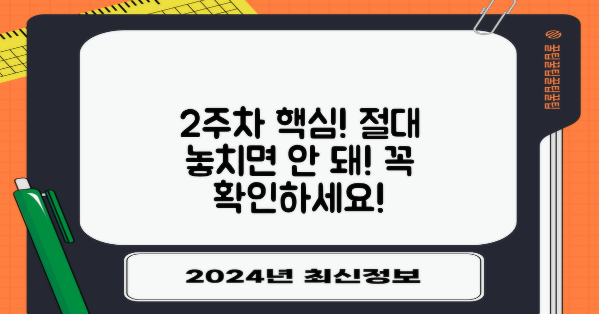 2주차 핵심 포인트, 놓치지 마세요!