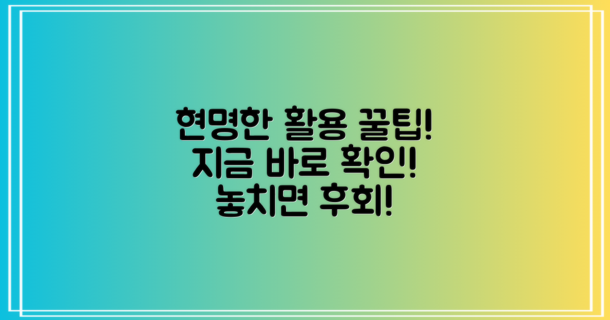 현명한 활용 팁 공개