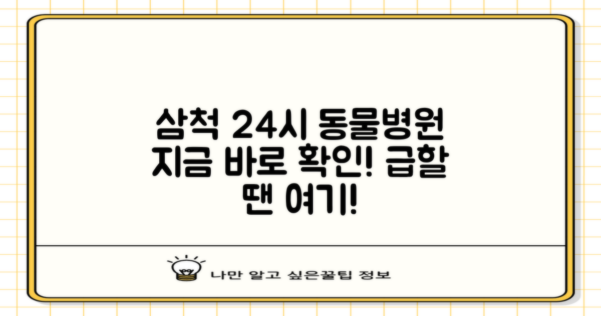 삼척 24시 동물병원, 지금 바로 확인하세요!